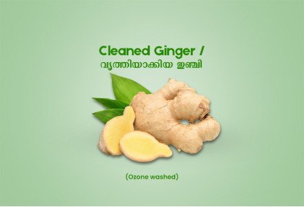 Cleaned Ginger / വൃത്തിയാക്കിയ ഇഞ്ചി  -100gm Pack ( Ozone Washed)
